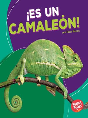 cover image of ¡Es un camaleón! (It's a Chameleon!)
